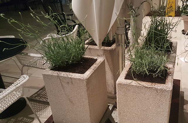 Nabavka i sadnja zelenila